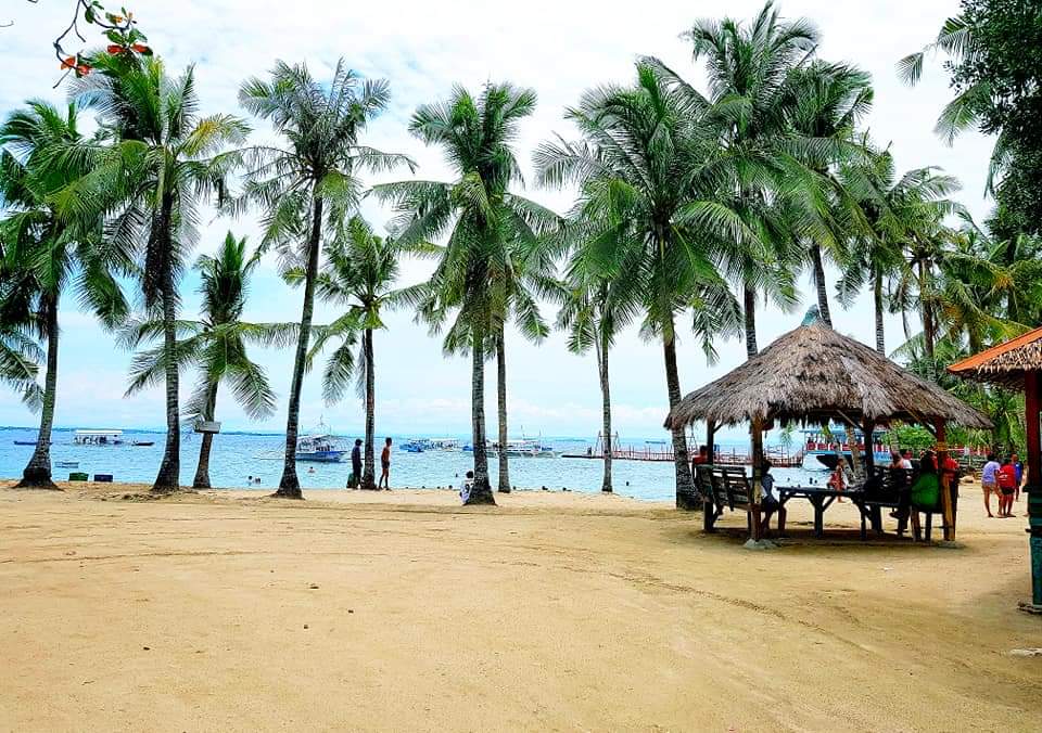 ハドサンビーチでできるマリンアクティビティ